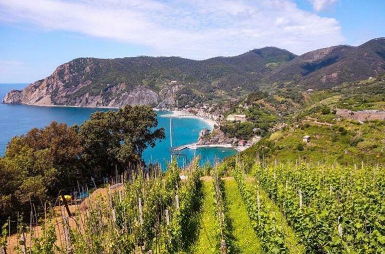 Casa Del Pescatore Monterosso al Mare